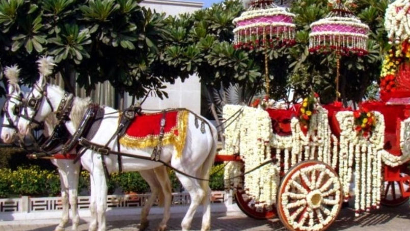 Ghodi Baggi Services